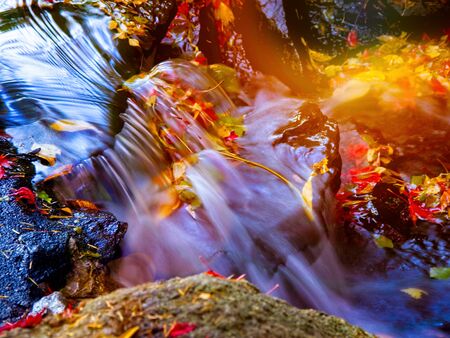 Abstract image of a water stream amidst blurry rocks and leaves. Fall colors in public Beacon Hill Park, Victoria BC, Vancouver Island, Canadaの写真素材