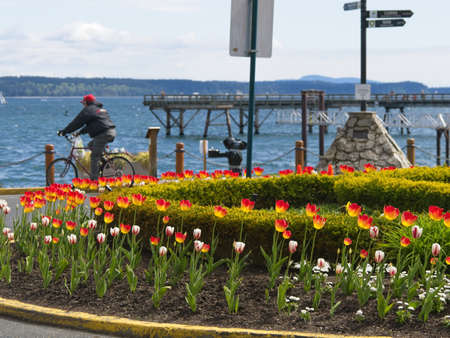 Spectacular seaside walk alone the shoreline of Sidney BC, Vancouver Island in the springtimeのeditorial素材