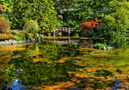 Public grounds of Hatley park in Victoria BC, Vancouver Island. Lake and bridge with autumn greenery around, Japanese styleの写真素材