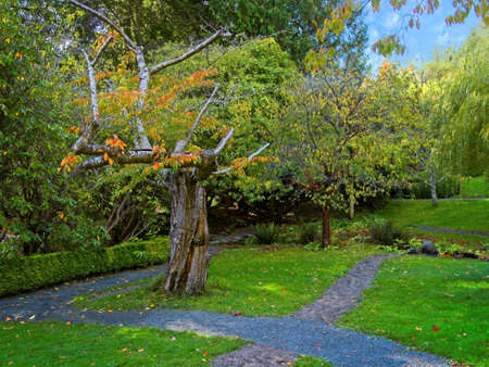 Public Hatley park grounds in Victoria BC, Vancouver Island. Japanese garden