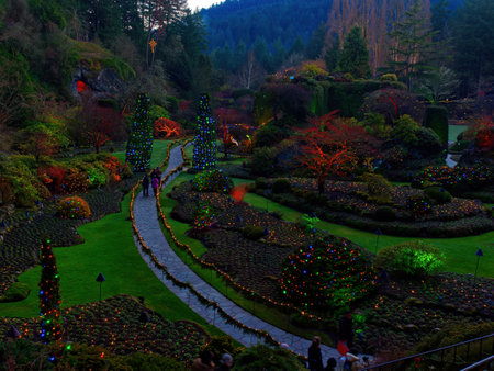 December 15, 2019 - Victoria BC, Canada. Festive Christmas illumination in The Butchart Gardensのeditorial素材