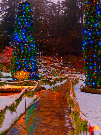 Victoria BC, Canada - December 21 2018. Festive Christmas illumination in snow-covered The Butchart Gardensのeditorial素材