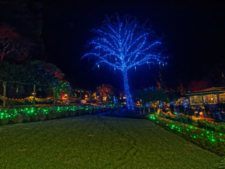 Victoria BC, Canada - December 5 2019. Festive Christmas illumination in snow-covered The Butchart Gardensのeditorial素材