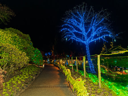 Victoria BC, Canada - December 5 2019. Festive Christmas illumination in snow-covered The Butchart Gardensのeditorial素材