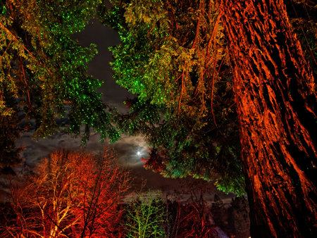 Victoria BC, Canada - December 5 2019. Festive Christmas illumination in snow-covered The Butchart Gardensのeditorial素材