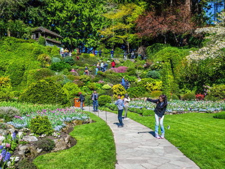 Victoria BC, Canada - April 2, 2019. Visitors admire springtime blooms in The Butchart Gardens.のeditorial素材