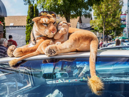 Sidney BC, Canada - July 24, 2016. Sidney Extravaganza, large antique collector car event in Sidney BC. Cars lining the streetsのeditorial素材