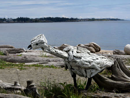 Victoria BC, Canada - May 12, 2021. Driftwood sculptures along the beach of Esquimalt lagoonのeditorial素材