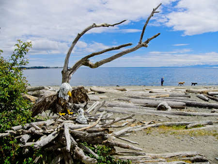 Victoria BC, Canada - May 12, 2021. Driftwood sculptures along the beach of Esquimalt lagoonのeditorial素材