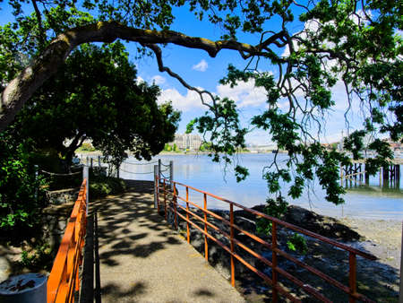 Tree-lined walkway along the water edge around Inner Harbor in Victoria BC on a sunny day