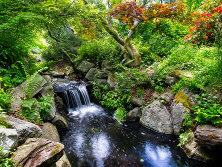 Waterfall in the summer Beacon Hill park, Victoria BC