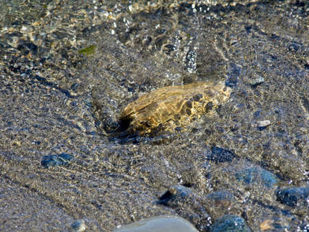 Rocks at the shore with water ebbing and flowing