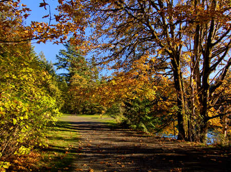 Fall landscape in sunny day in Tod Inlet, Vancouver Island BC