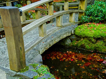 Bright deep vibrant autumn colors in the parkの写真素材