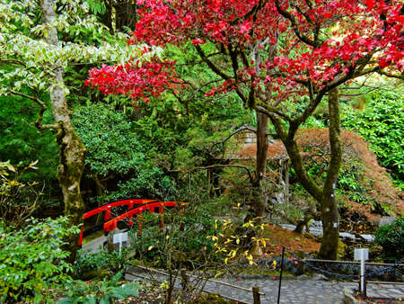 Bright deep vibrant autumn colors in the parkの写真素材