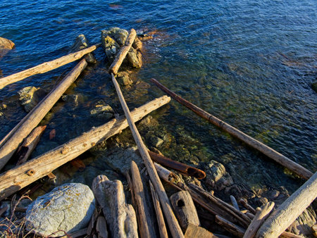 Driftwood and rocks at the spectacular ocean shore of Sidney BCの写真素材