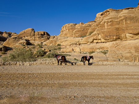 Scenic road toward entrance to ancient city Petra, Jordan, one of seven Wonders of the Worldの写真素材