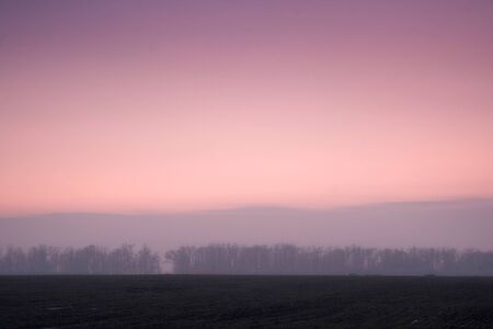 Calm, foggy autumn evening with pink sky, trees and empty fieldsの写真素材