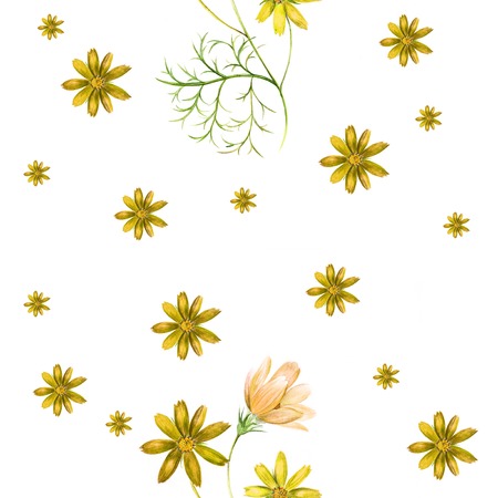 Watercolor pattern of a branch with colorful cosmos flowersの写真素材