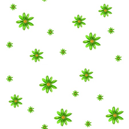 Watercolor simple pattern with colorful cosmos flowersの写真素材