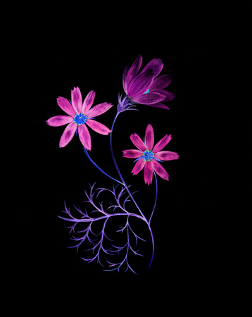 Neon watercolor painting of a cosmos flower branch with three flowersの写真素材