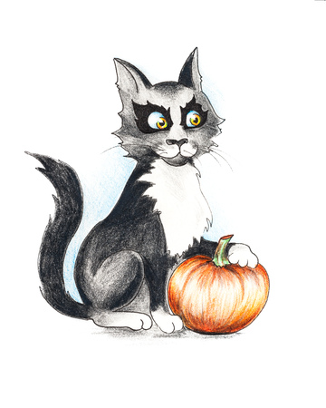Cute evil black and white halloween cat with a pumpkinの写真素材