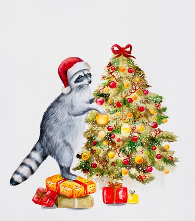 Cute raccoon in a red hat standing on boxes with presents dressing up the new years tree. Perfect for postcard and New Year illustrations.の写真素材