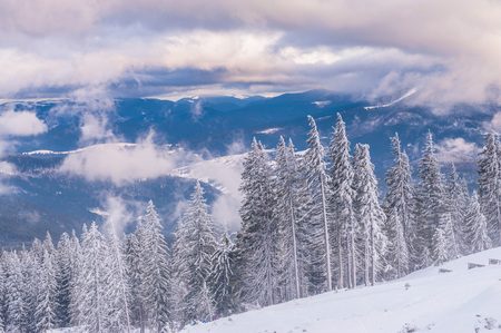 View from Dragobrat mountain, Carpathian, Ukraine during a beautiful winter eveningの写真素材