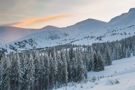 View from Dragobrat mountain, Carpathian, Ukraine during a beautiful winter eveningの写真素材
