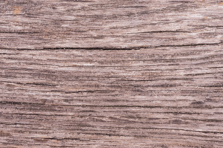 Macro closeup shot of an old wooden log. Perfect for textures or backgroundの写真素材