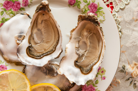 Two oysters on a plate with some lemon. Simple composition of home prepaired oysters.の写真素材