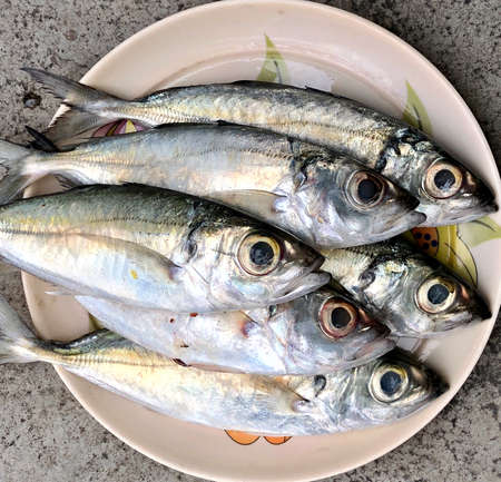 Fresh raw fish kept on a plate for sale