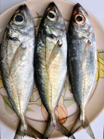 Fresh raw fish kept on a plate for sale
