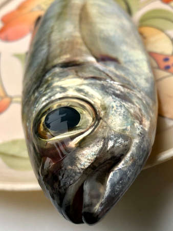 Fresh fish head closeup view on a plate