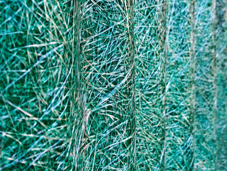 Texture design in the green fishing netの写真素材