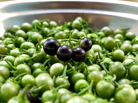 Wonder berry fruits or spinach seeds are kept in the clusters before cooking in a plate