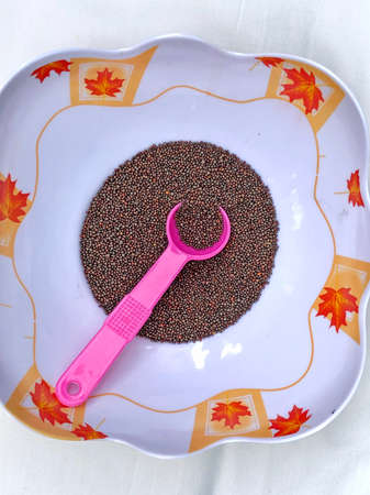 Mustard seeds in a bowl with spoonの写真素材