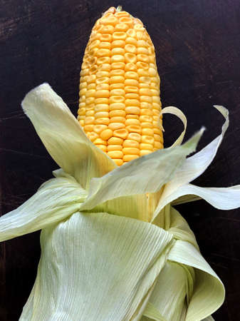 Corn maize with cereal grains and leaves. Sweet corn kept for cooking. Corn on the cob.の写真素材