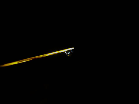 Water Droplet, Bangalore