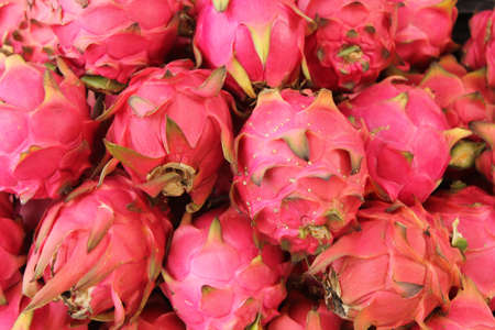 dragon fruitの写真素材