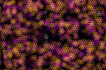 Beautiful defocused bokeh lightsの写真素材