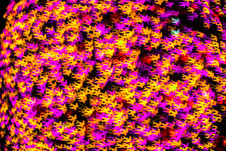 Beautiful defocused bokeh lightsの写真素材