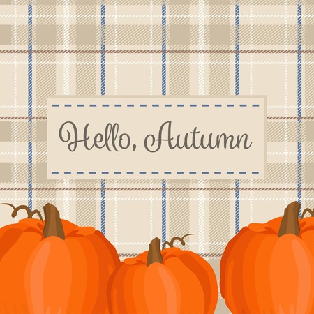 Autumn season background with pumpkin and plaid fabric. Hello autumnのイラスト素材