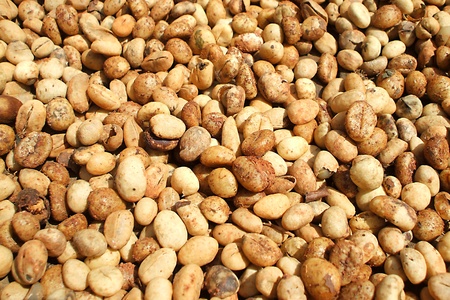 Sun-dried coffeeの写真素材
