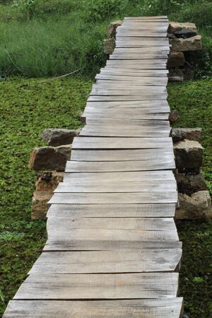 wood bridgeの写真素材