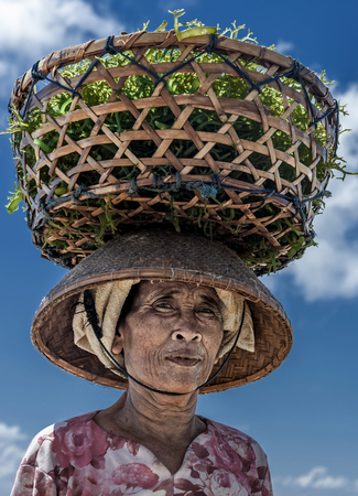 Nusa Penida, Bali Indonesia - September 2015: Indonesian farmers grow seaweed in a traditional method. Lady farmer carrying collected seaweeds in a basket from sea to her house for drying, Indonesiaのeditorial素材