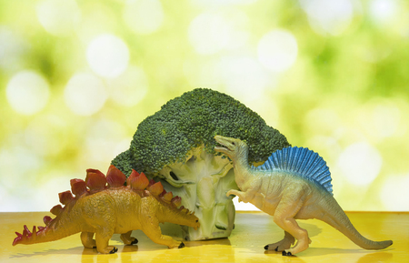 Feeding my hungry Dinosaurs, playing with children joysの写真素材