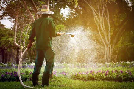A gardener is watering flowersの写真素材