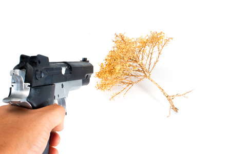 Deforestの写真素材