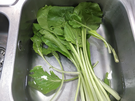 Washing Chinese Kale in kitchen sinkの写真素材
